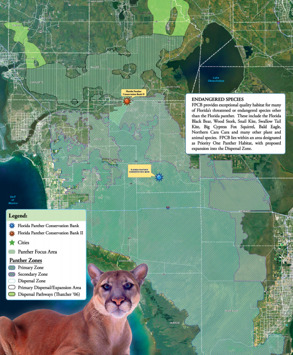 Florida Panther Conservation Bank - The Mitigation Banking Group