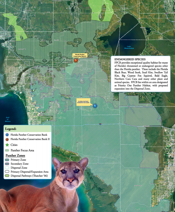 black panther habitat map