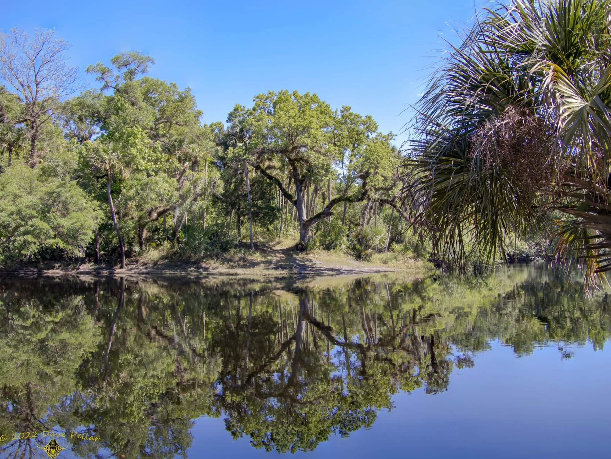 process-of-determining-how-much-wetland-mitigation-credits-cost-the