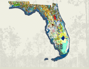 Navigating Florida Land Use and Cover with FLUCCS Codes - The 