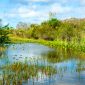 Understanding UMAM Evaluation for Wetland Mitigation