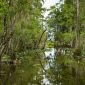 Navigating the Future: The Impact of Recent Court Decisions on Florida’s 404 Wetland Permitting Program