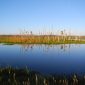 Strengthening Wetland Protections in Orange County, Florida